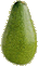 Fuerte Avocado