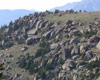 Ice field on Barr Trail